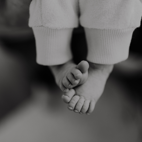 Up close black and white portrait of newborn toes